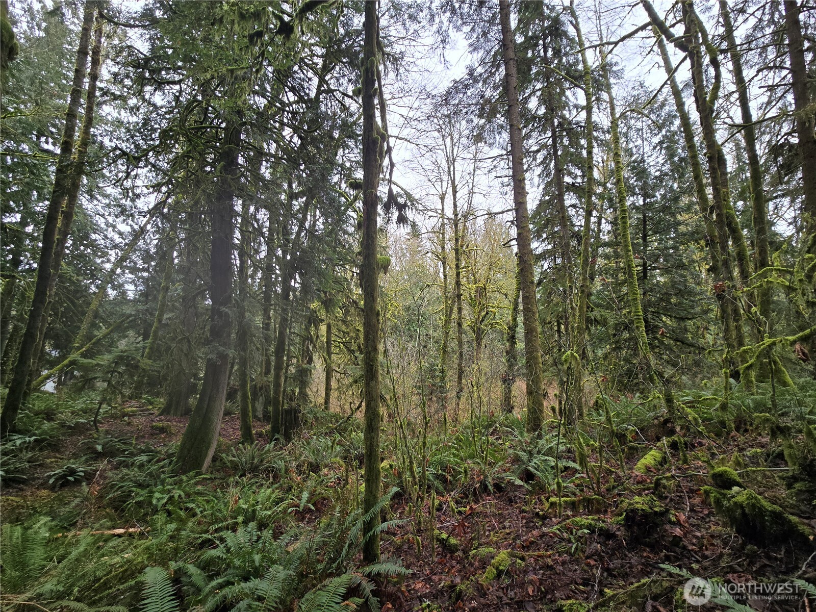 185 123rd (Northern Lot) Avenue NE Arlington WA 98223