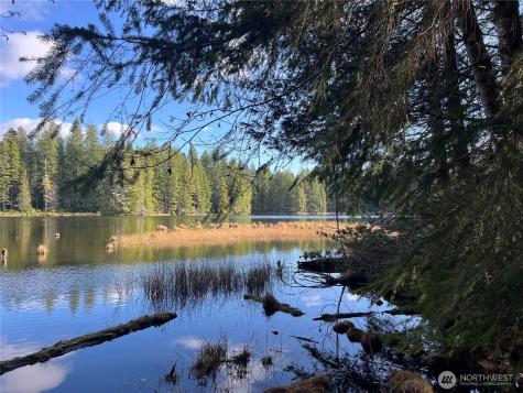 0 NE Lake Christine Road Tahuya WA 98588