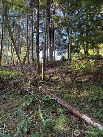 0 NE Lake Christine Road Tahuya WA 98588