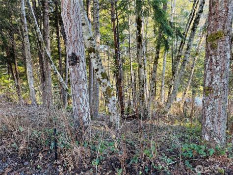 0 NE Lake Christine Road Tahuya WA 98588
