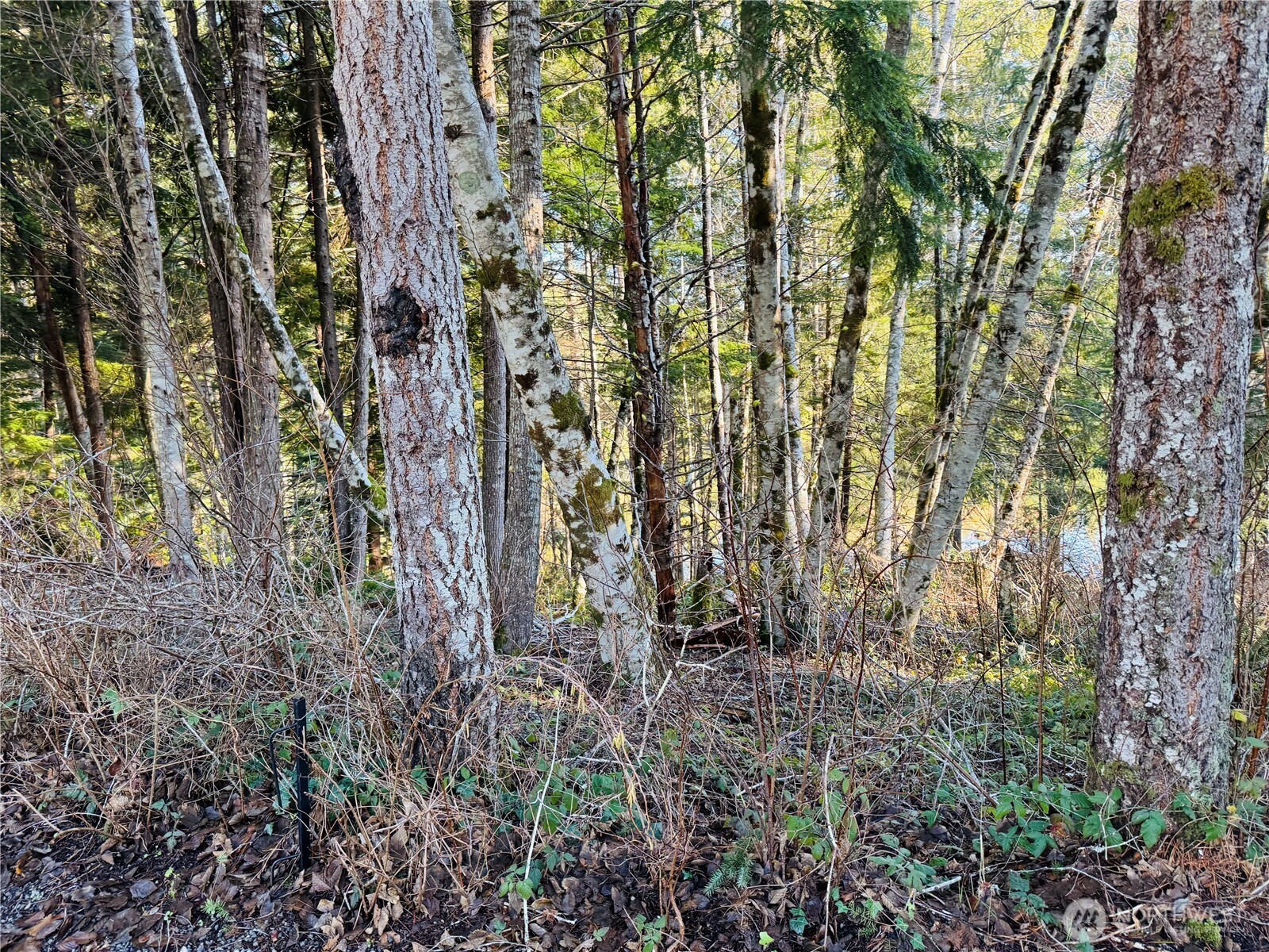 0 NE Lake Christine Road Tahuya WA 98588