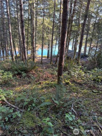 0 NE Lake Christine Road Tahuya WA 98588