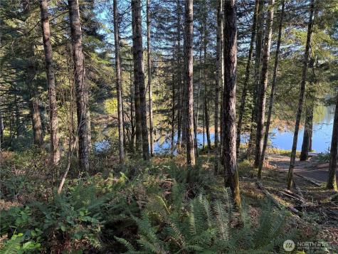 0 NE Lake Christine Road Tahuya WA 98588
