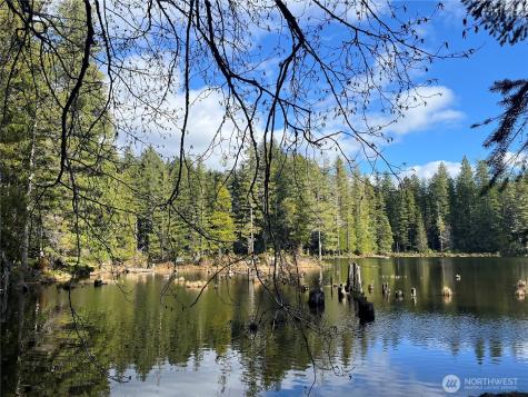 0 NE Lake Christine Road Tahuya WA 98588
