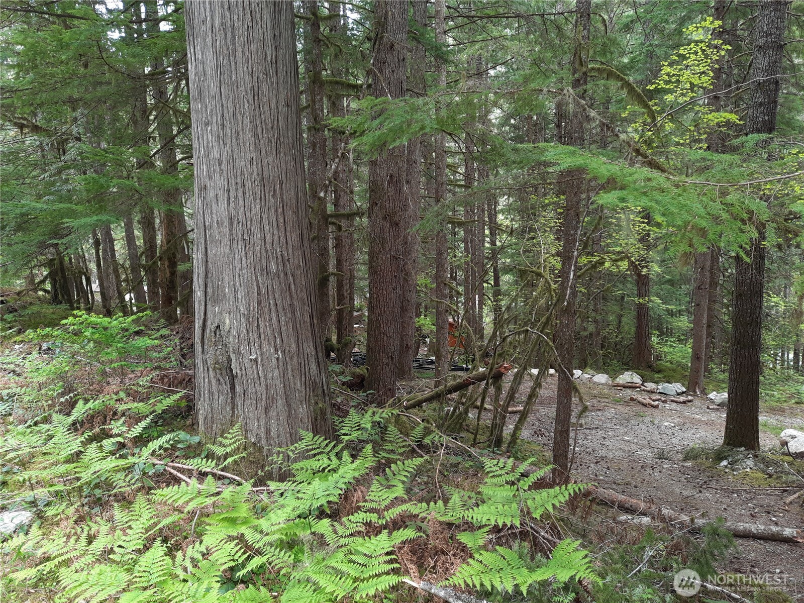 0 Cascade River Road Marblemount WA 98263