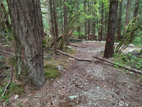 0 Cascade River Road Marblemount WA 98263