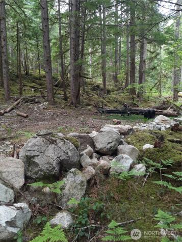 0 Cascade River Road Marblemount WA 98263