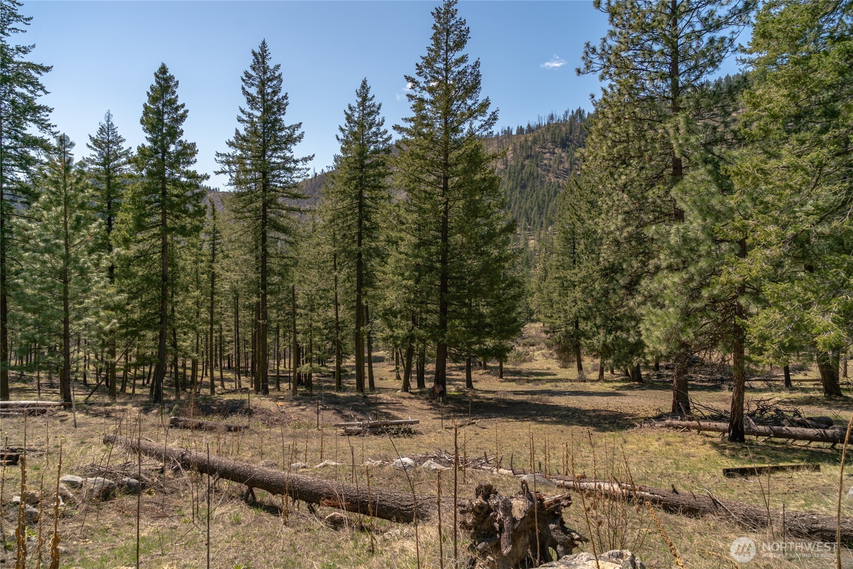 0 Granite Creek Chelan WA 98816