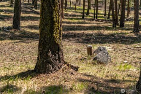 0 Granite Creek Chelan WA 98816