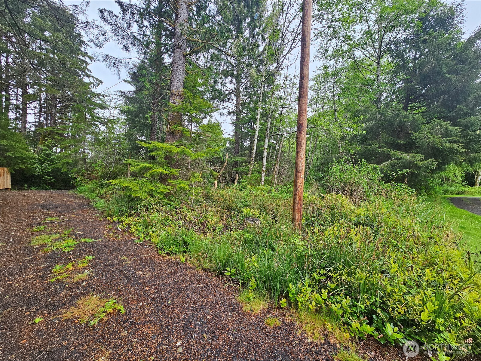 0 Patricia Drive Copalis Beach WA 98535