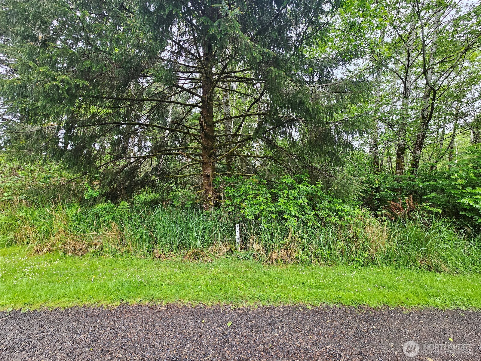 0 Patricia Drive Copalis Beach WA 98535