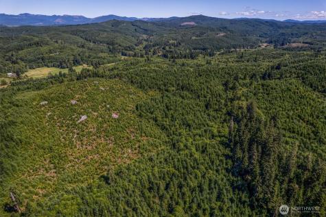 1 Eden Valley Road Rosburg WA 98643