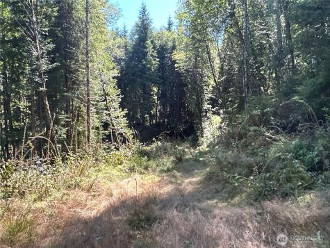 1 Eden Valley Road Rosburg WA 98643