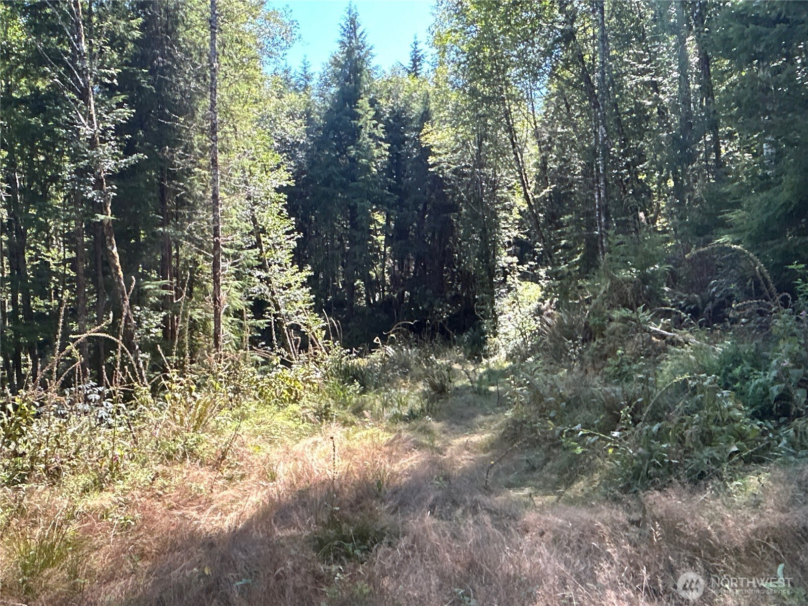 1 Eden Valley Road Rosburg WA 98643