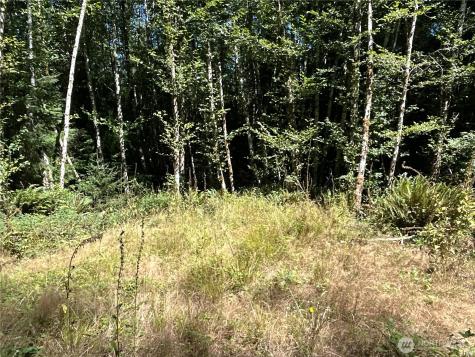 1 Eden Valley Road Rosburg WA 98643