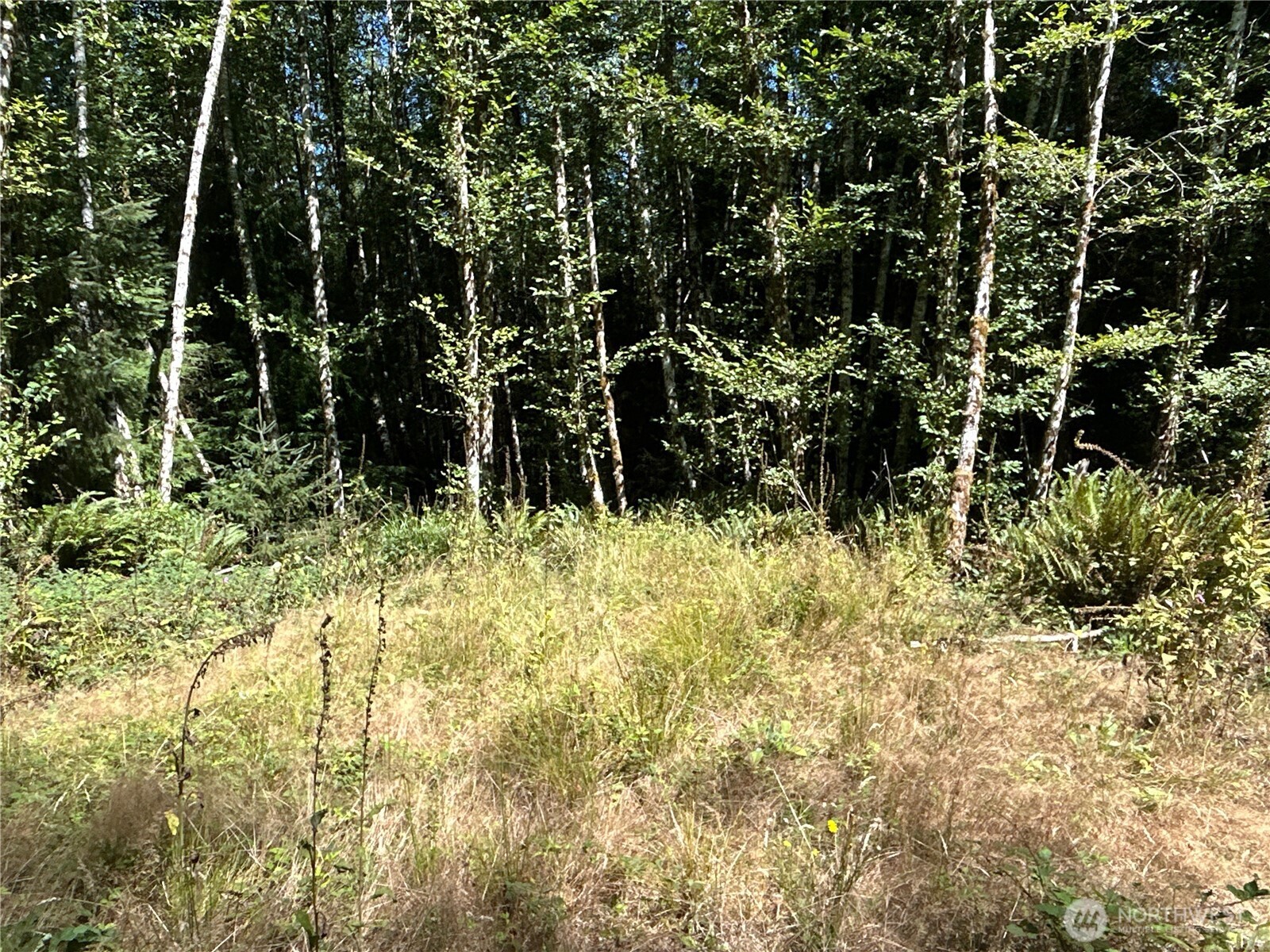 1 Eden Valley Road Rosburg WA 98643