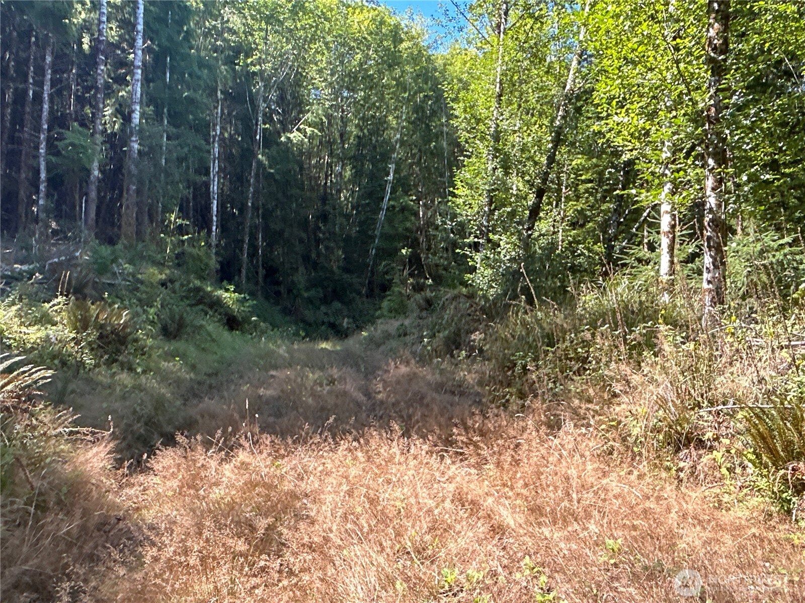 1 Eden Valley Road Rosburg WA 98643
