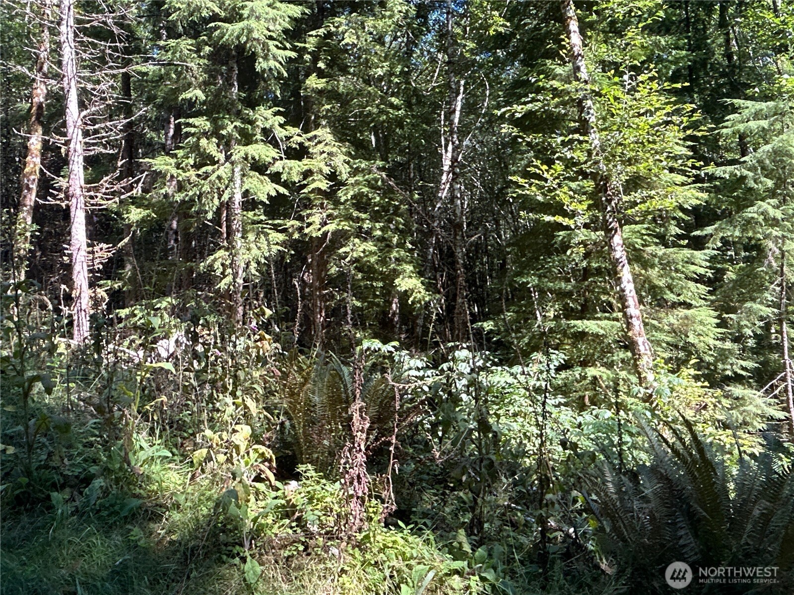 1 Eden Valley Road Rosburg WA 98643