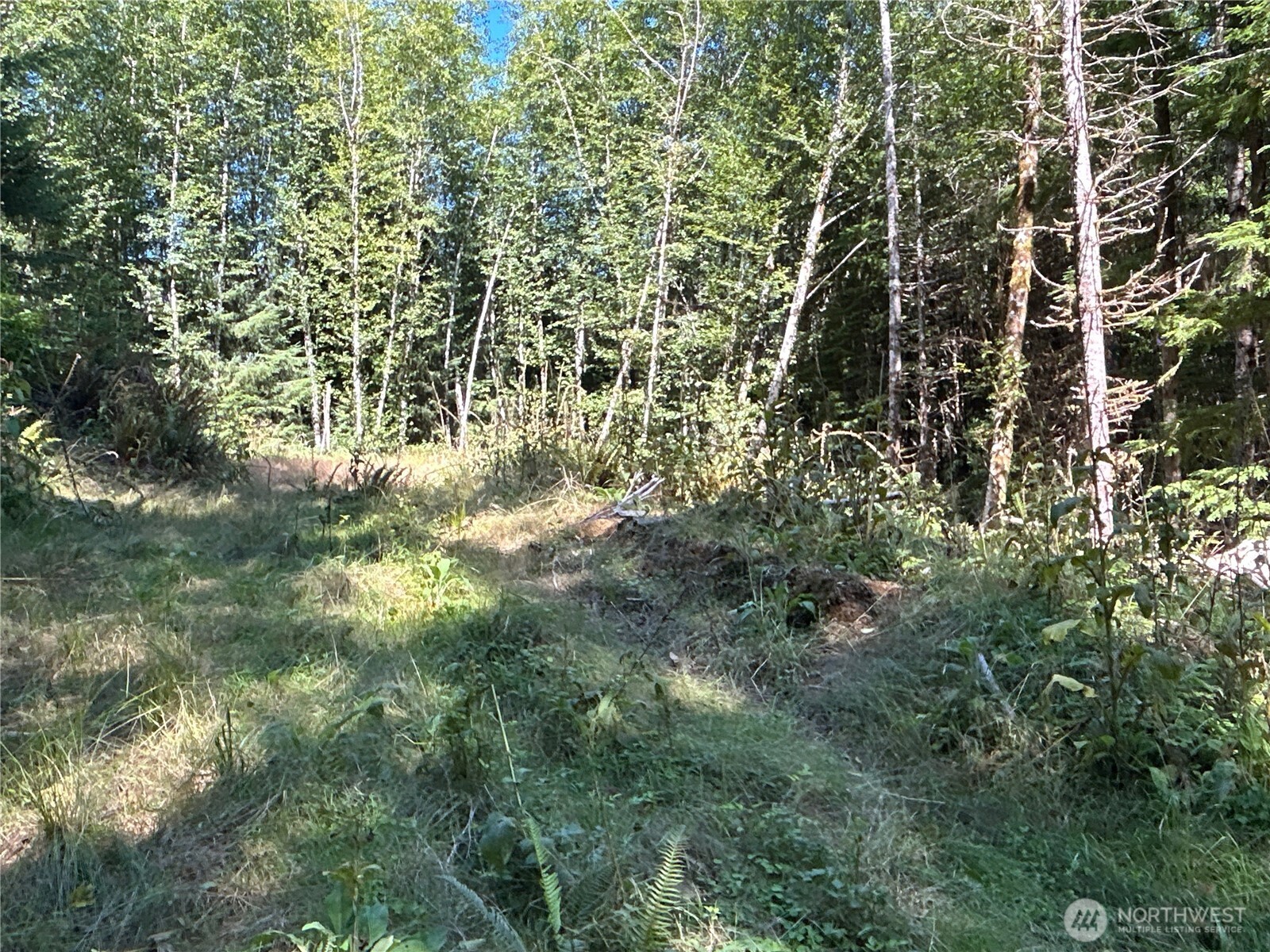 1 Eden Valley Road Rosburg WA 98643