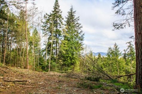 557 Whitecap Road Bellingham WA 98229