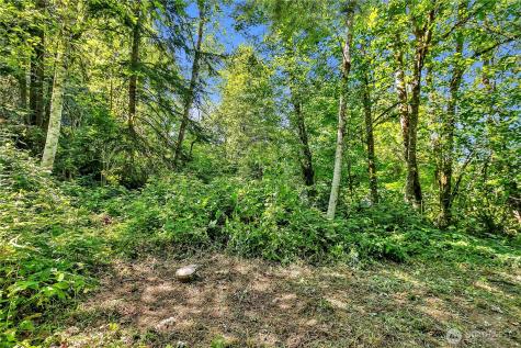 28215 SE 216th Street Maple Valley WA 98038