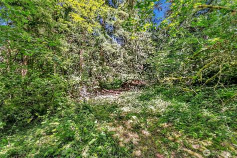 28215 SE 216th Street Maple Valley WA 98038