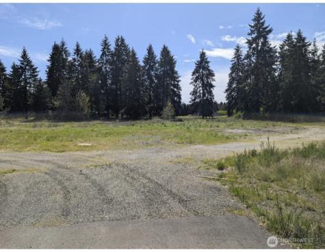 9019 173rd Avenue SW Rochester WA 98579