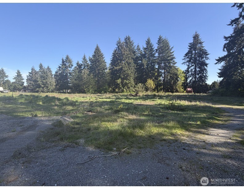 9019 173rd Avenue SW Rochester WA 98579
