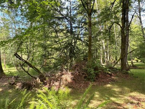 120 196th Avenue NE Redmond WA 98053