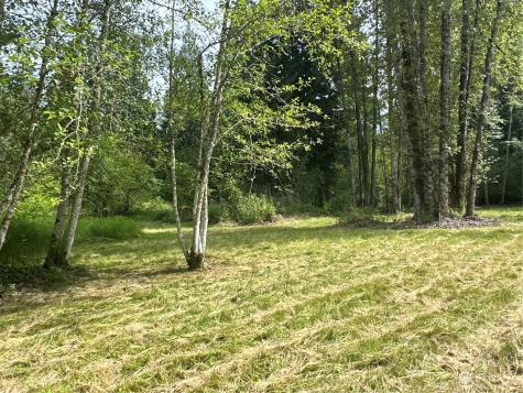 120 196th Avenue NE Redmond WA 98053