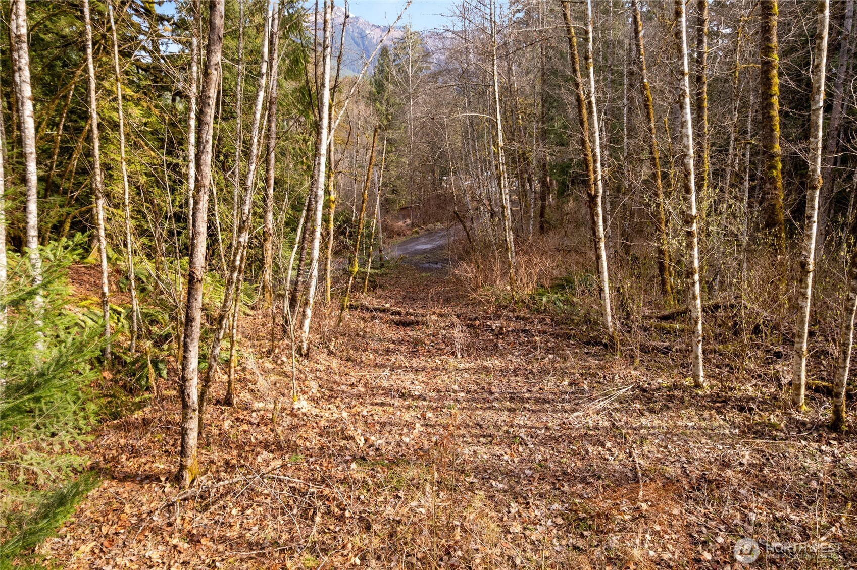 10211 Mount Baker Highway Deming WA 98244