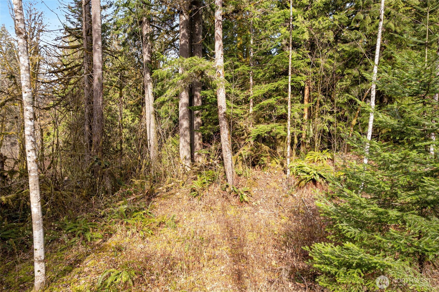 10211 Mount Baker Highway Deming WA 98244