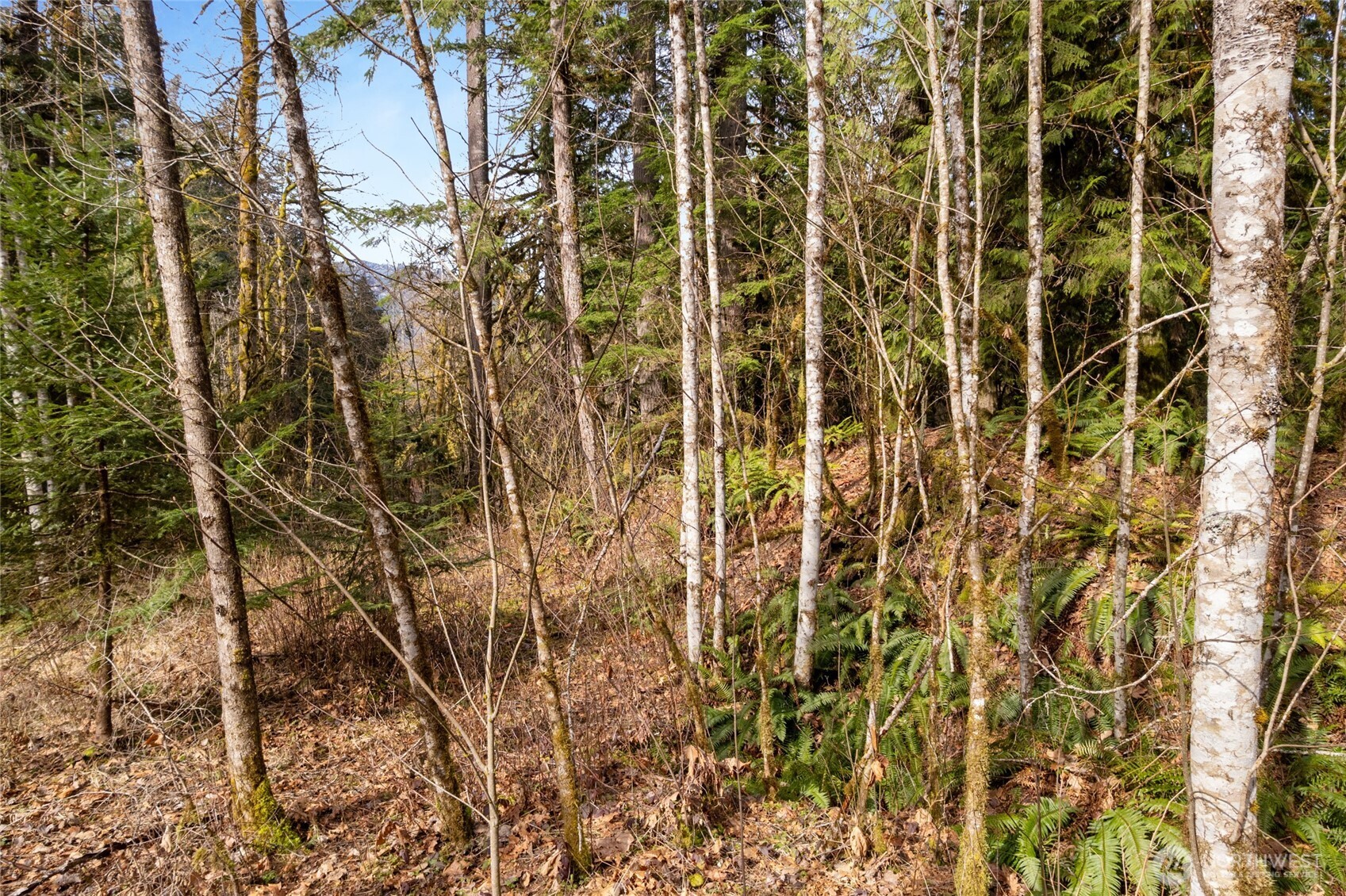 10211 Mount Baker Highway Deming WA 98244