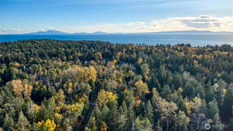 6 Weasel Run Point Roberts WA 98281
