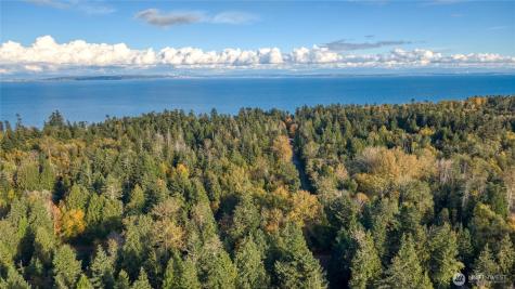 6 Weasel Run Point Roberts WA 98281