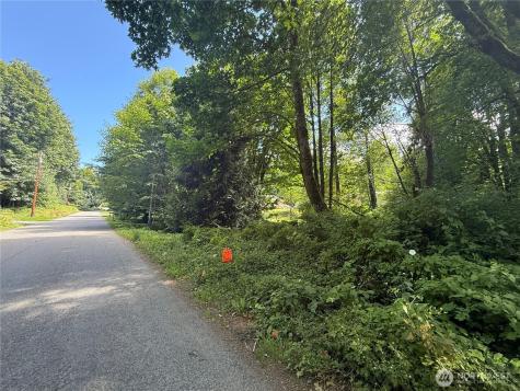 0 Cape Horn Drive Concrete WA 98237