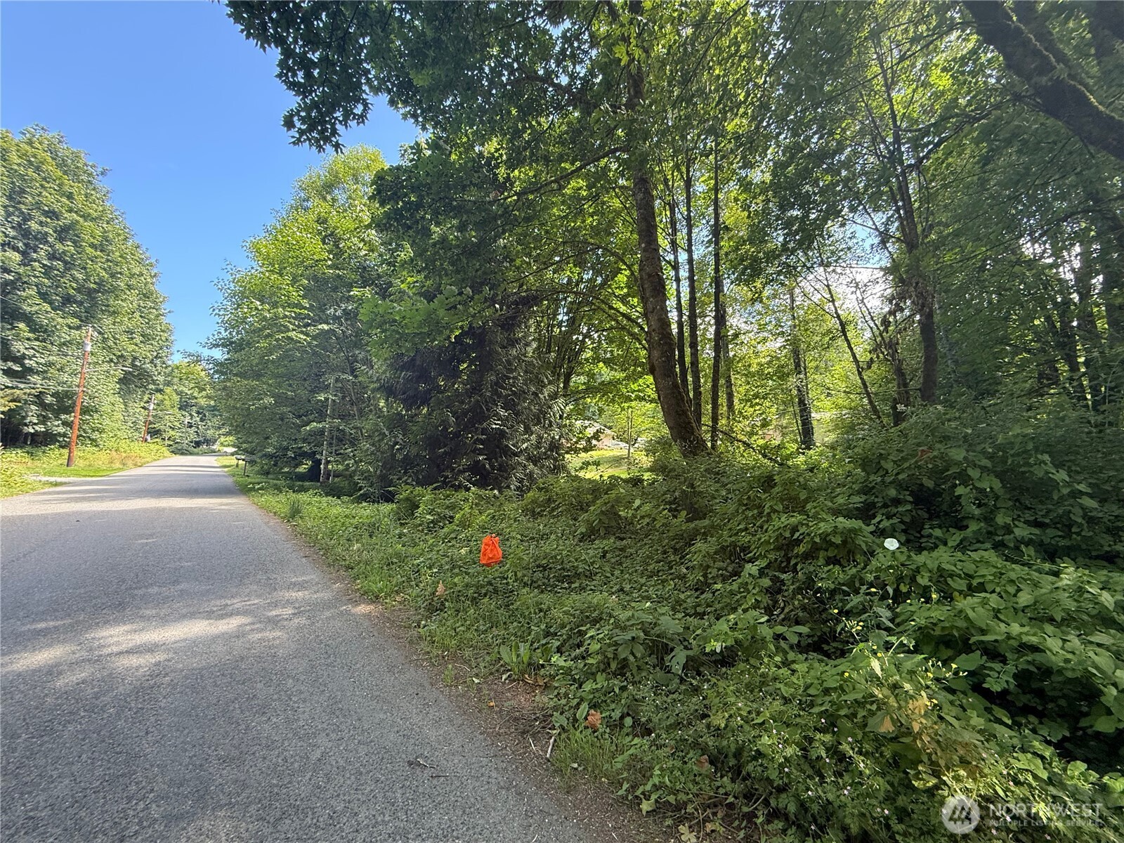 0 Cape Horn Drive Concrete WA 98237
