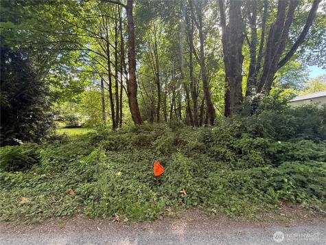 0 Cape Horn Drive Concrete WA 98237