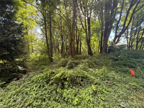 0 Cape Horn Drive Concrete WA 98237