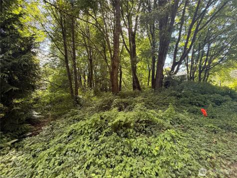 0 Cape Horn Drive Concrete WA 98237