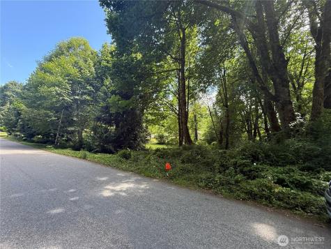 0 Cape Horn Drive Concrete WA 98237