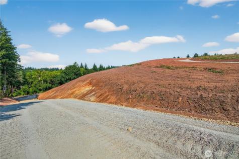 207 Jordan View Drive Woodland WA 98674