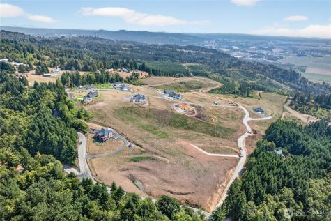 207 Jordan View Drive Woodland WA 98674