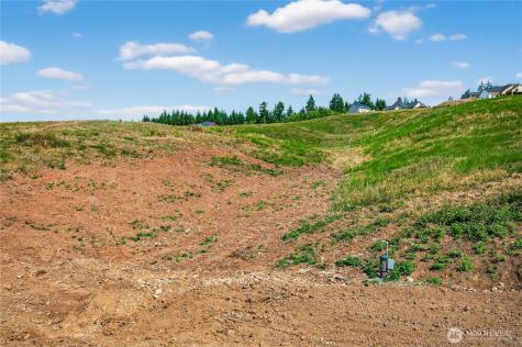 207 Jordan View Drive Woodland WA 98674