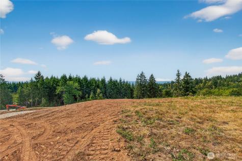 207 Jordan View Drive Woodland WA 98674