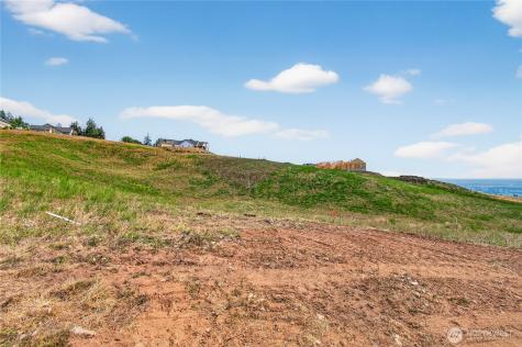 207 Jordan View Drive Woodland WA 98674
