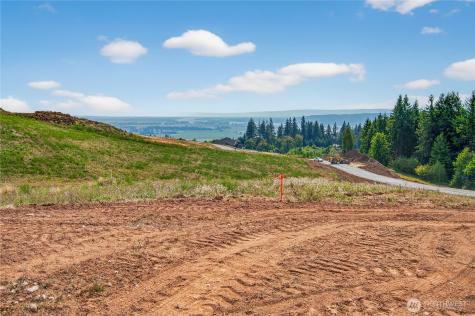 207 Jordan View Drive Woodland WA 98674