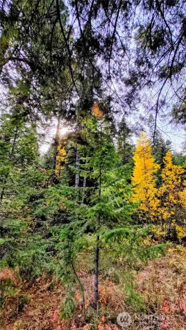6299 Alder Court Wenatchee WA 98801