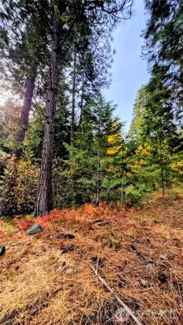 6299 Alder Court Wenatchee WA 98801