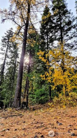 6299 Alder Court Wenatchee WA 98801